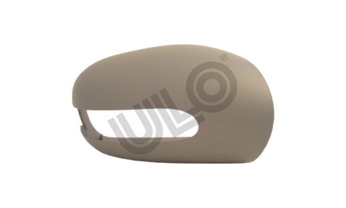 Vıevmax M203 Ayna Kapağı Prim Dış Sinyal Buzlu Set Sağ (A2038110460)
