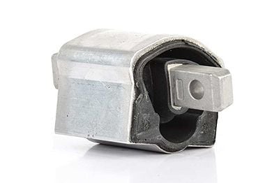 CORALS ŞANZIMAN KULAĞI (A2122400318)