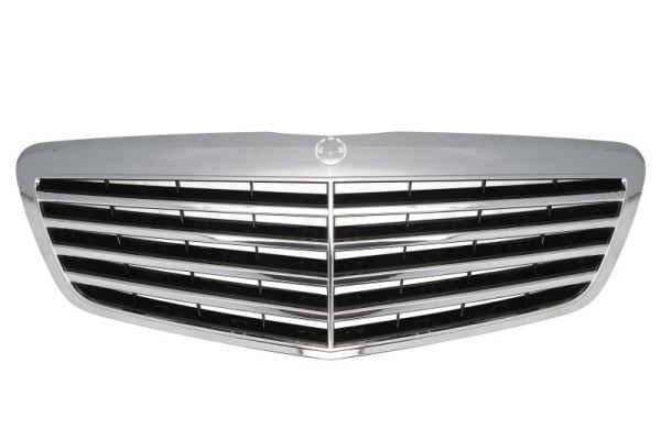 İTHAL Panjur W221 2010 12 Siyah (A2218800483)
