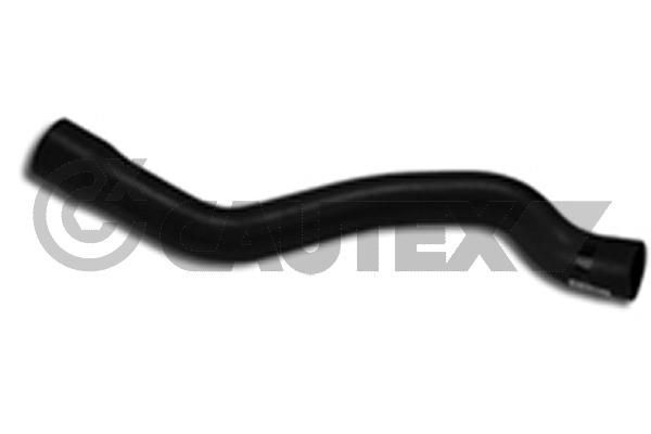 Üçpa W202 Rad Hortumu Alt (A2025013382)