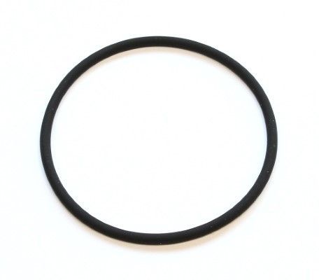 ORİJİNAL O-RING (A0169975045)