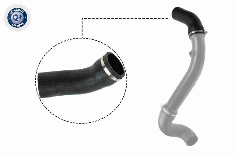 Kyburg Turbo Hortumu W210 S210 Plastik Boru Hariç (A2105281082)