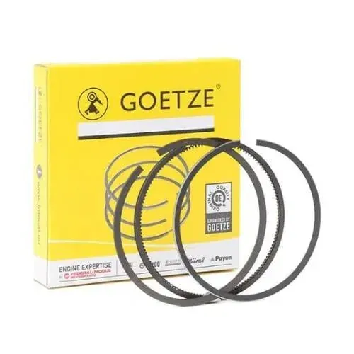 GOETZE SEGMAN (06170607)