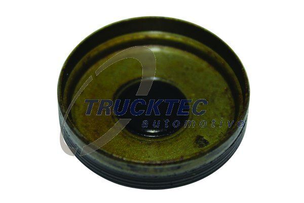 Trucktec M271 Zincir Gergi Tapası (A0009976220)