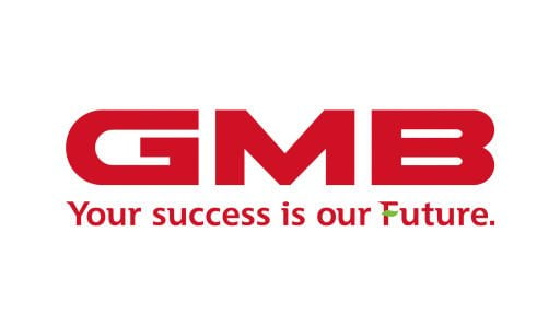 Gmb Motor Kayışı (6PK0906)