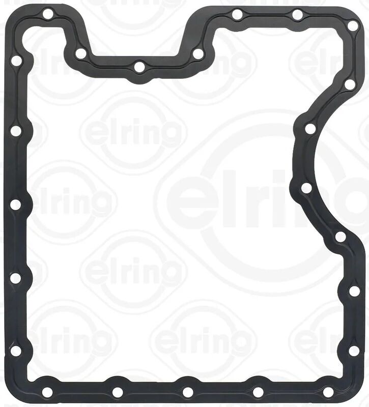 ELRING N62 KARTER CONTASI E53 (11137539582)