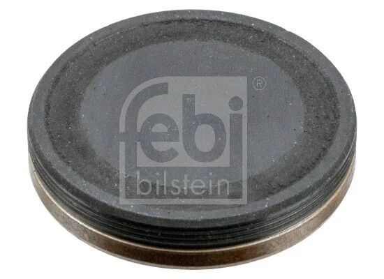 FEBI EKSANTRİK ZİNCİR GERGİ TAPASI M642 (38867)