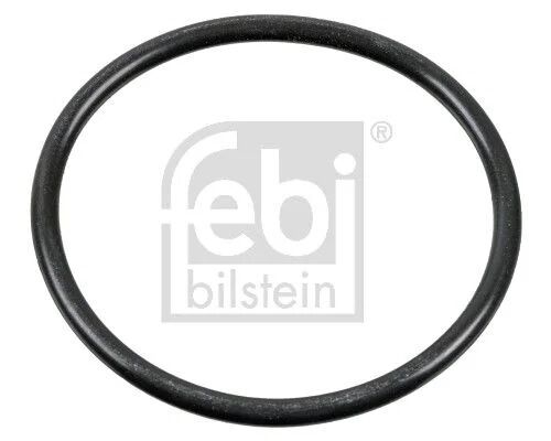 FEBI O-RİNG (100165)