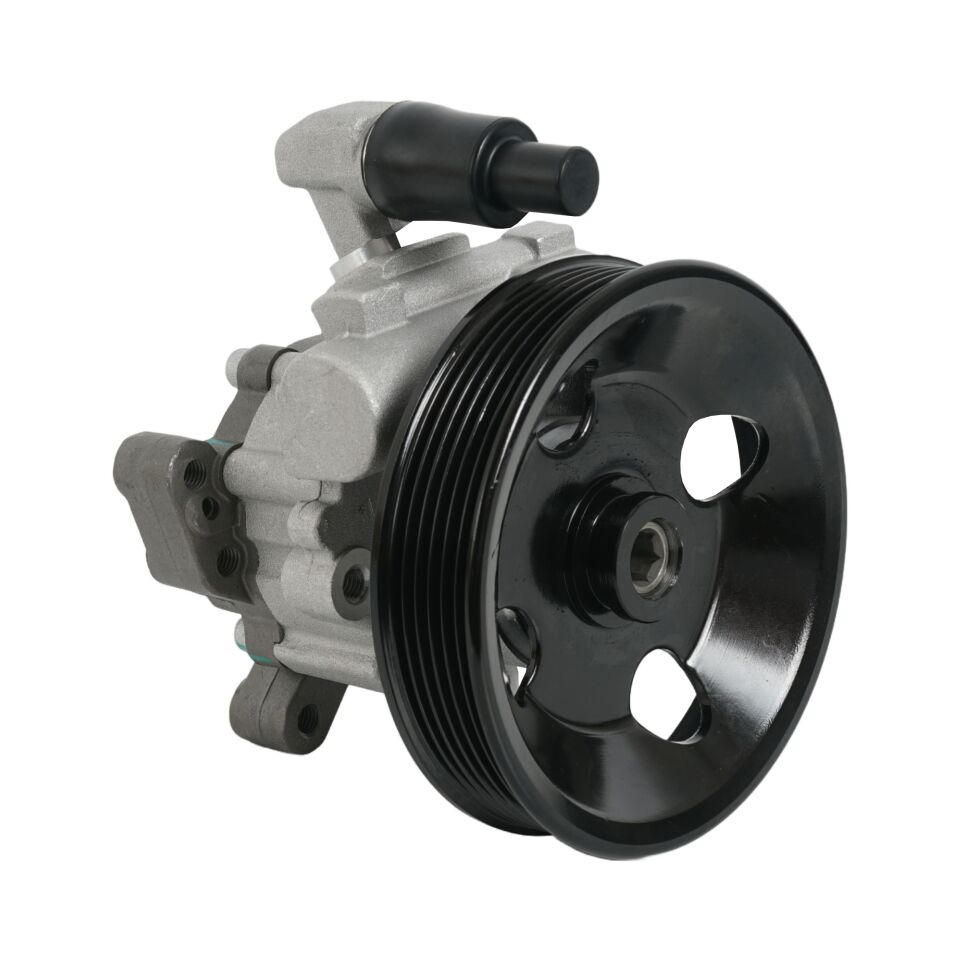 ASPART DİREKSİYON POMPASI 163  ML 320/430/55 (A0024668201)
