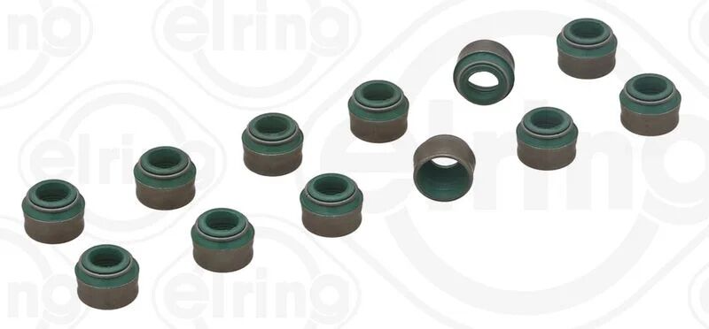 ELRING SUPAP LASTİĞİ M110 (A1100500167)