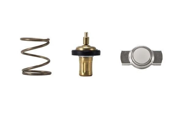 BEHRMAHLE TERMOSTAT 87'C  607  117/156/176/246 (TEK İÇİ) (A6072000415)