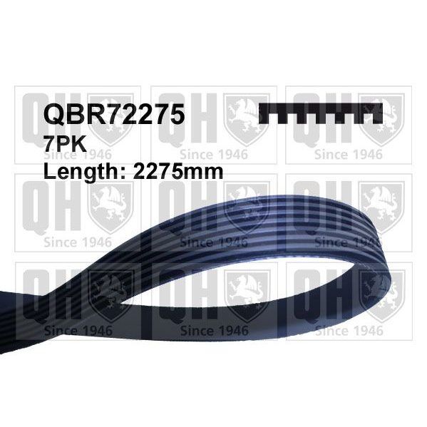 CONTINENTAL KAYIŞ - 7PK2276 (A0149971592)