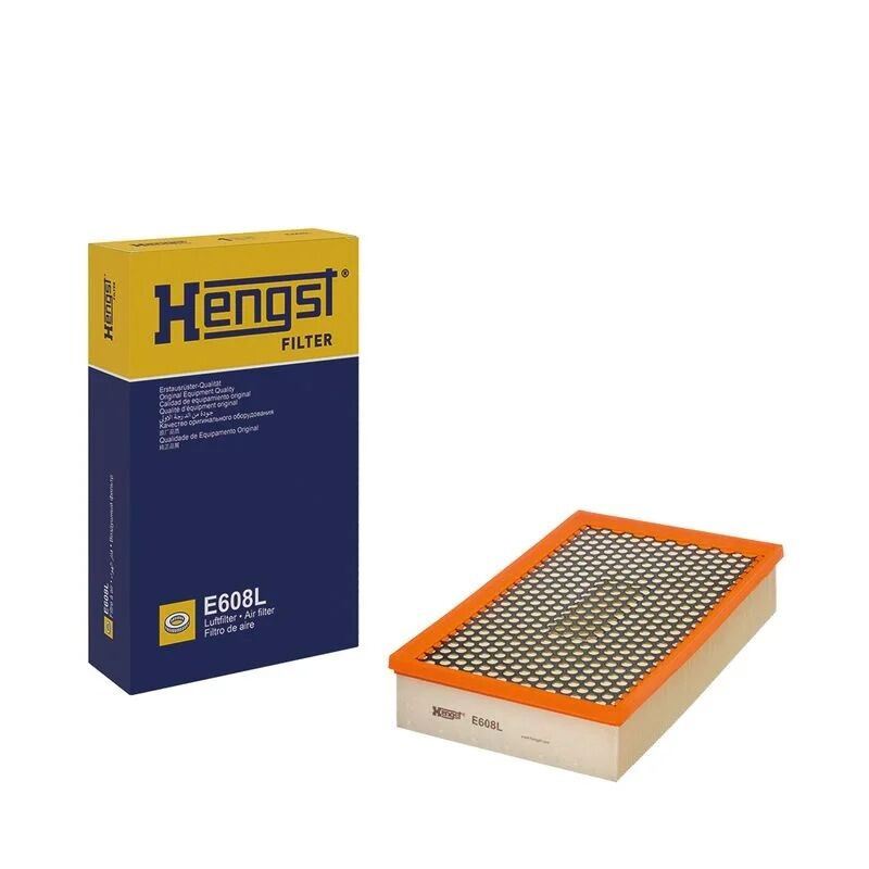 HENGST HAVA FILTRESI E65 66 (13717526008)