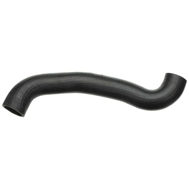 BEGEL HORTUM (A9015012782)