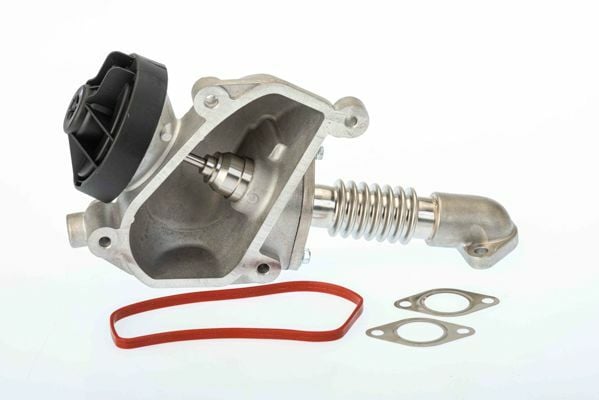 Wahler M611 Egr Valfi W638 901 902 903 904 (A6110900954)