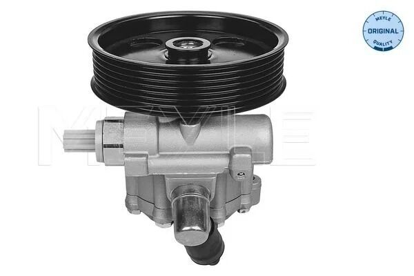 Meyle Direksiyon Pompası W639 W906 (A0034669301)