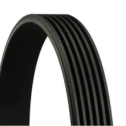 CONTITECH KAYIŞ 220 CDİ                      008 997 69 92 (A0089976992)