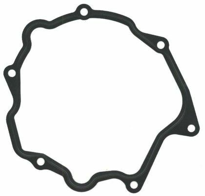 Elring Vakum Pompa Contası M601 (A6012380780)