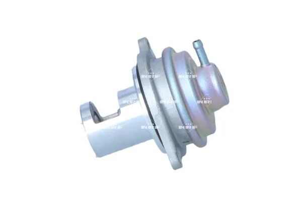 NRF EGR VALFİ 169/245 (A6401402060)