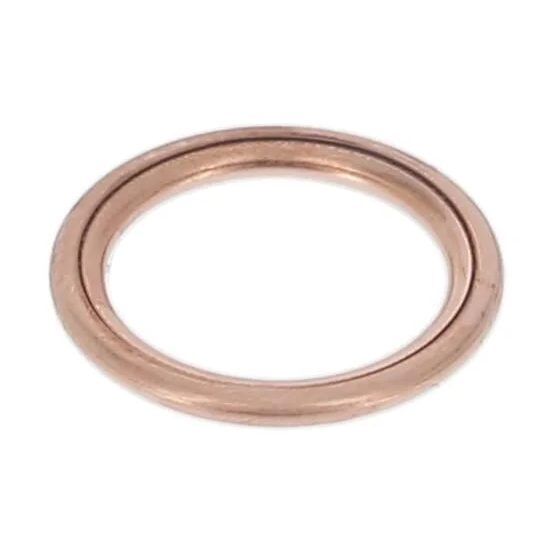 SWAG KARTER TAPA PULU W177 (A2829970345)