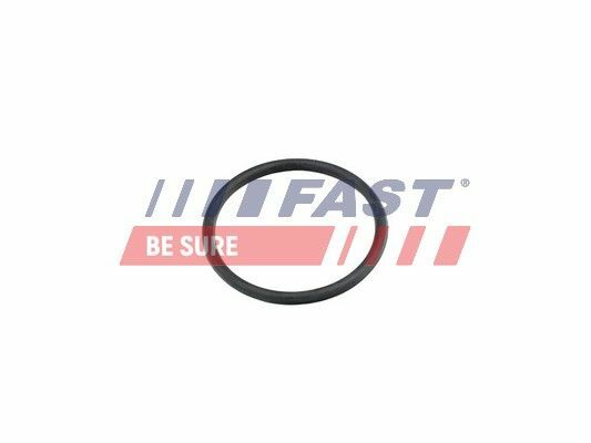 SWAG TERMOSTAT O-RING M271 (A0299972148)