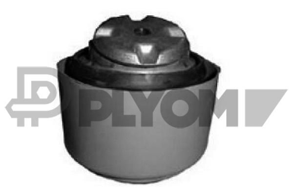 CORALS MOTOR TAKOZU W203 (A2032411113)