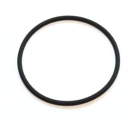 ORİJİNAL O-RING (A0169975045)