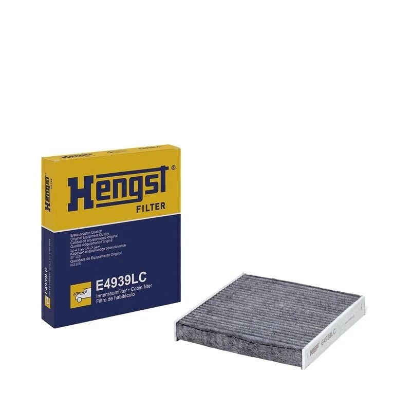 HENGST KLIMA FILTRESI G11 G122 (64319175484)