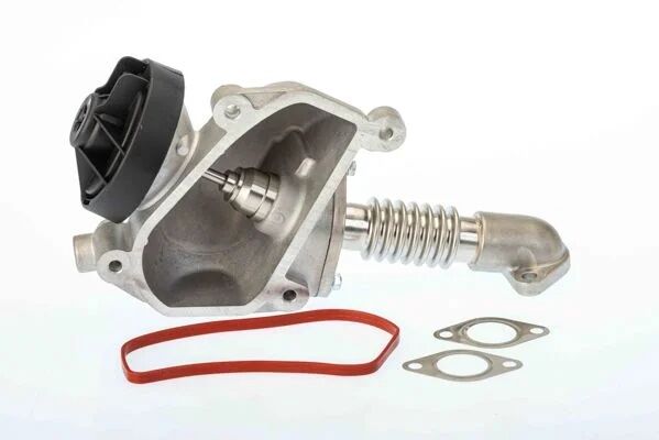 BORGWARNER AGR VALFİ (A3828831839V1)
