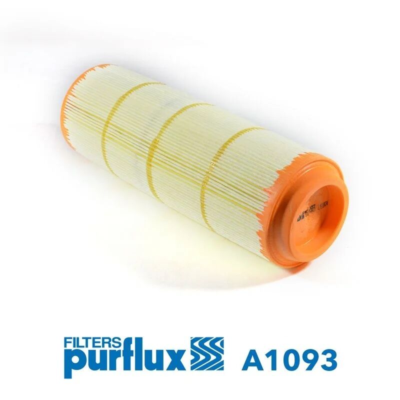 PURFLUX HAVA FİLTRESİ (A6680940304)