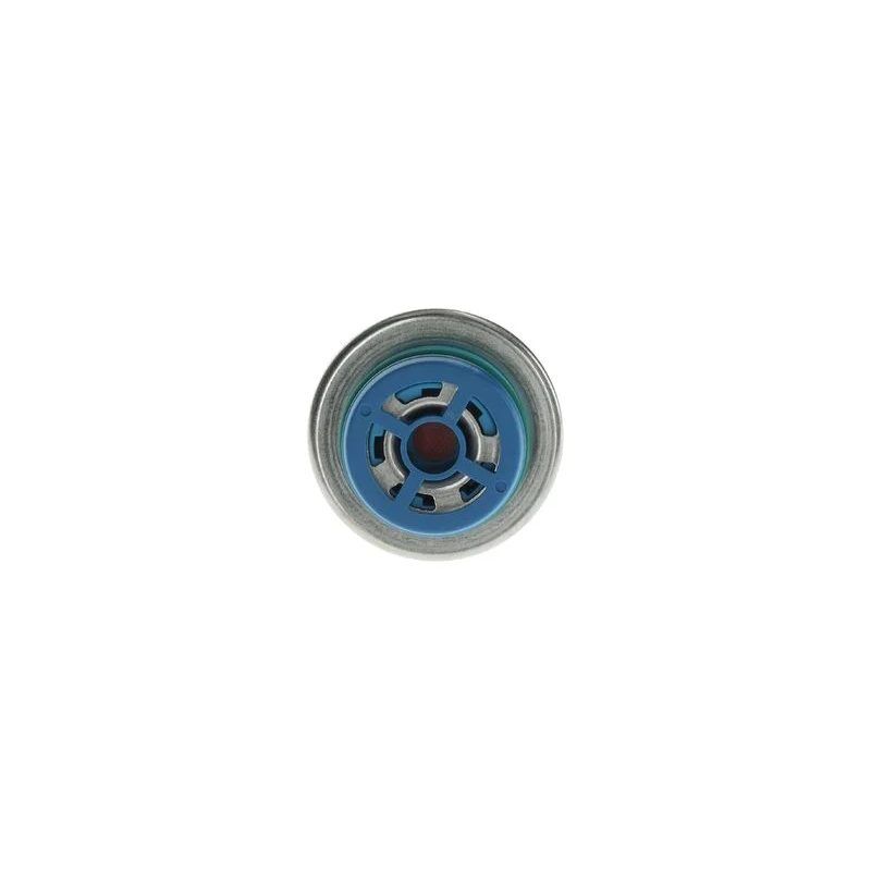BOSCH BASINÇ REGÜLATÖRÜ 111/271 CGI   210/203 (A1110780392)