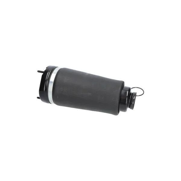 Kyburg Amortisör Körüğü W251 (A2513203013)