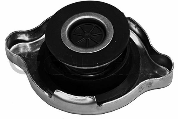Reutter Radyatör Kapağı W124 W126 201 W202 140 C Q Kalite (A1245000406)