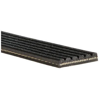 CONTINENTAL KAYIŞ - 6PK2150 (A0099979192)